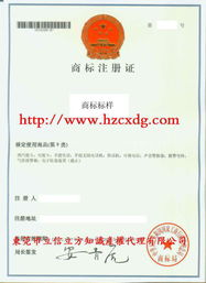商标注册与商标代理 法律与公证的全面指南